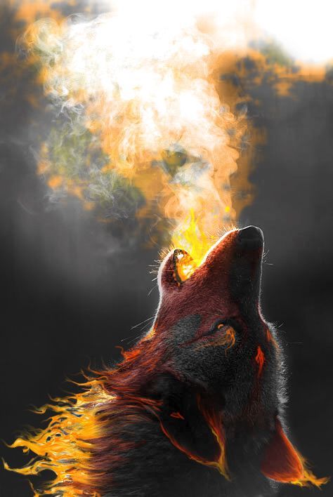 SoundWolves - Fire Wolf